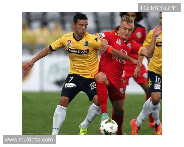 布里斯班狮吼与麦克的精彩对决分析与赛前预测